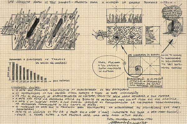 Alberto Carneiro floresta para os teus sonho